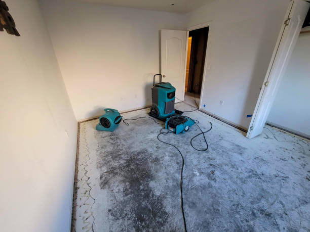 Best Emergency water damage restoration  in Struthers, OH