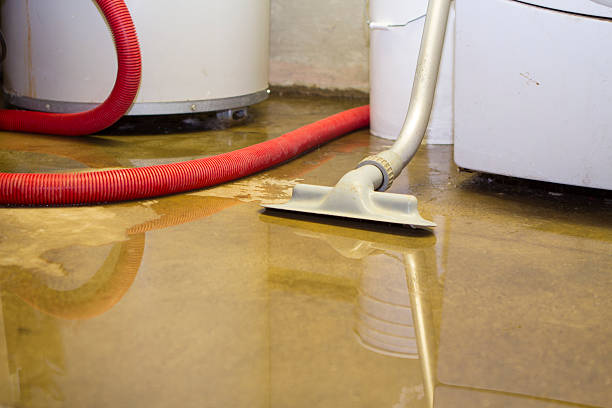 Best 24-hour water damage restoration  in Struthers, OH