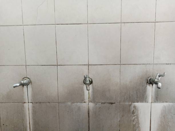Best Water damage restoration insurance claims  in Struthers, OH