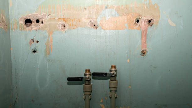 Professional Water damage restoration in Struthers, OH