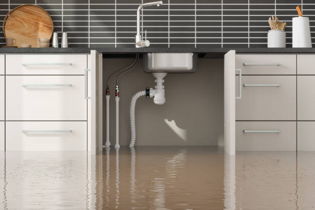 Best Water damage restoration company  in Struthers, OH
