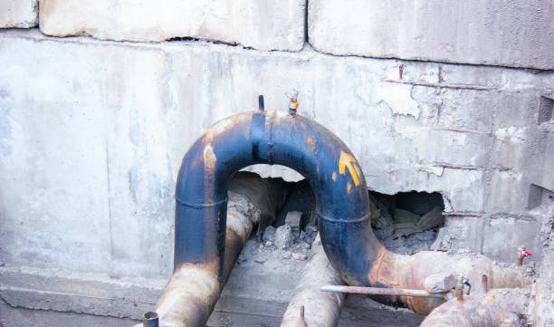 Best Carpet water damage restoration  in Struthers, OH